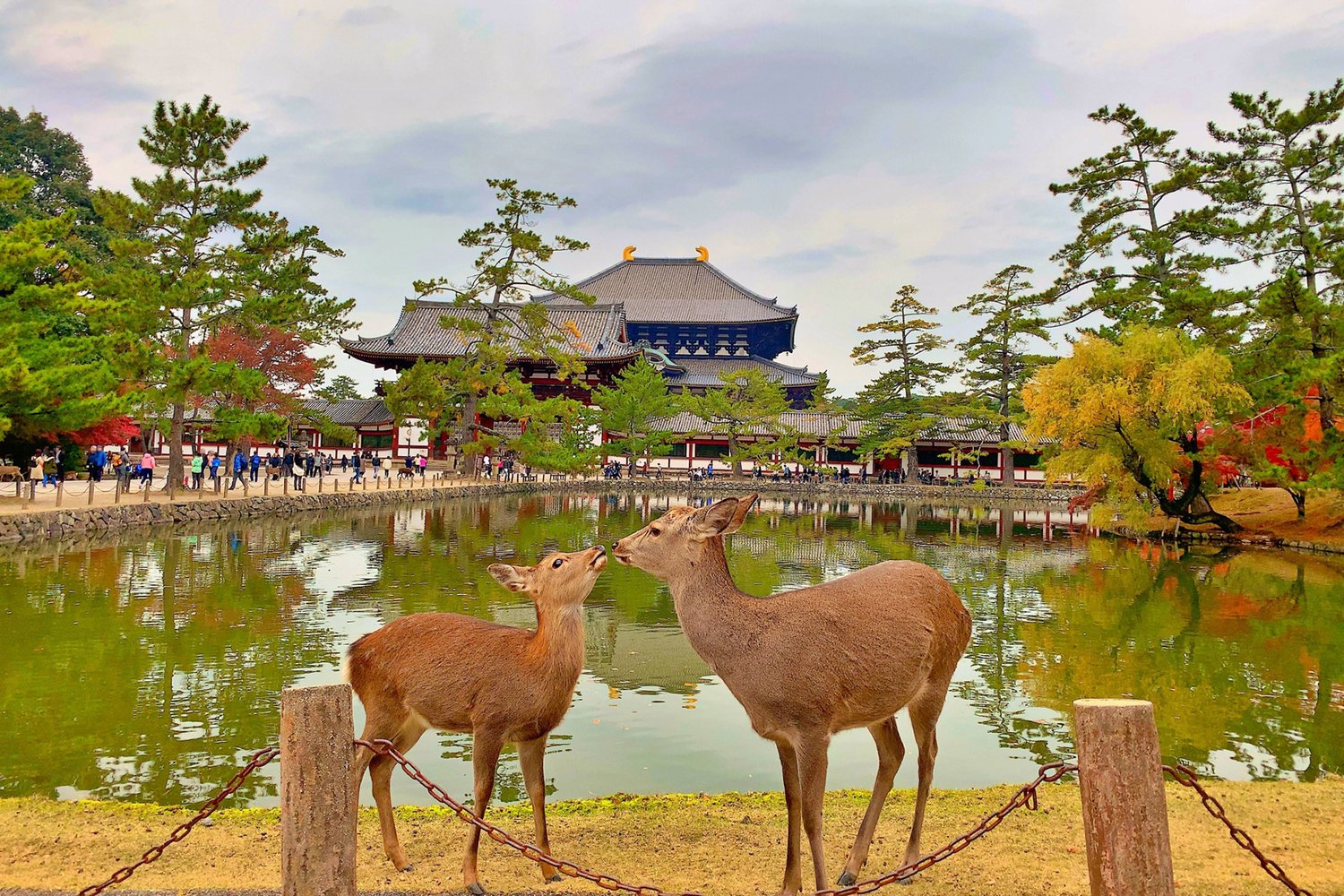 奈良県の天気