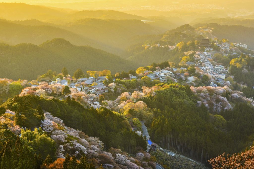 奈良県の天気