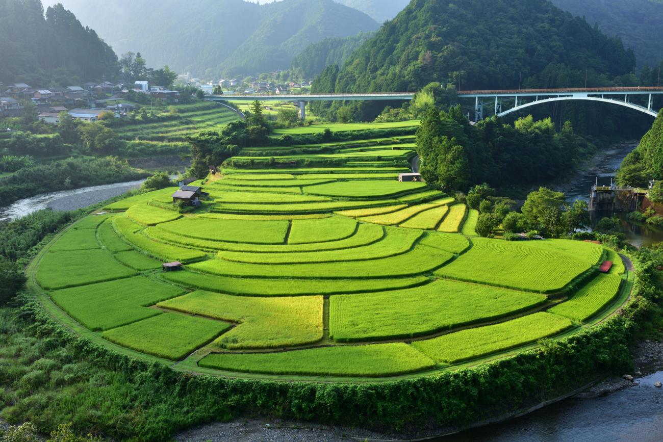 和歌山県の天気
